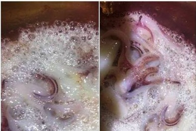 Hoảng hốt vì mực sủi bọt như tắm xà phòng